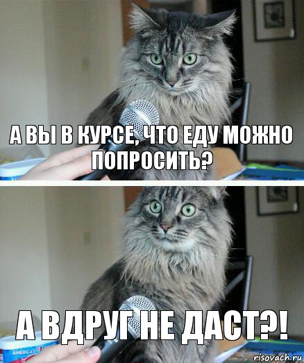 А вы в курсе, что еду можно попросить? А вдруг не даст?!, Комикс  кот с микрофоном