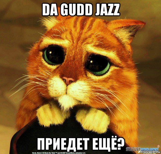 da gudd jazz приедет ещё?, Мем Котик из Шрека