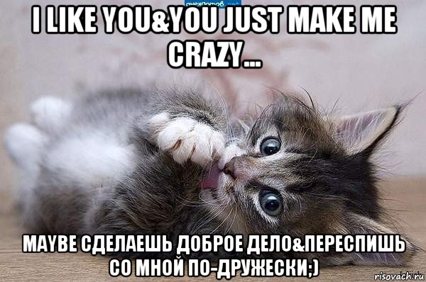 i like you&you just make me crazy... maybe сделаешь доброе дело&переспишь со мной по-дружески;), Мем  котенок