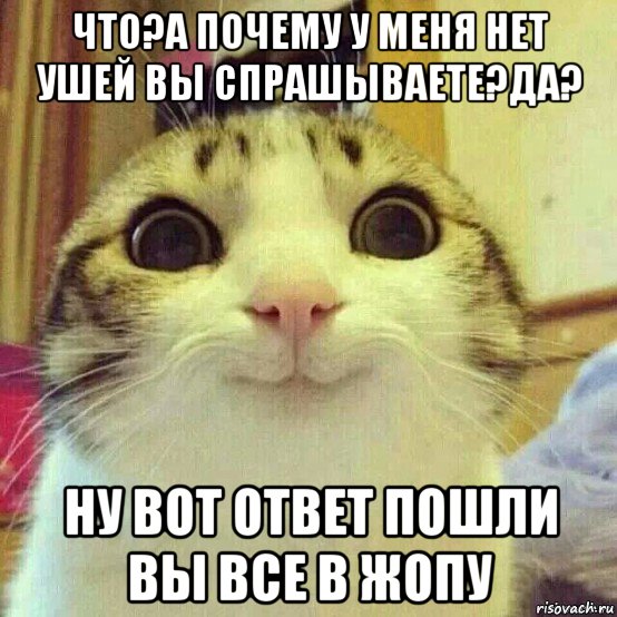 что?а почему у меня нет ушей вы спрашываете?да? ну вот ответ пошли вы все в жопу, Мем       Котяка-улыбака