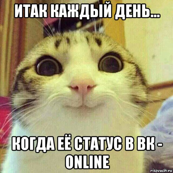 итак каждый день... когда её статус в вк - online, Мем       Котяка-улыбака