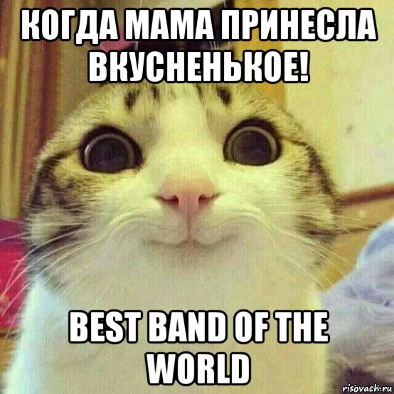 когда мама принесла вкусненькое! best band of the world, Мем       Котяка-улыбака