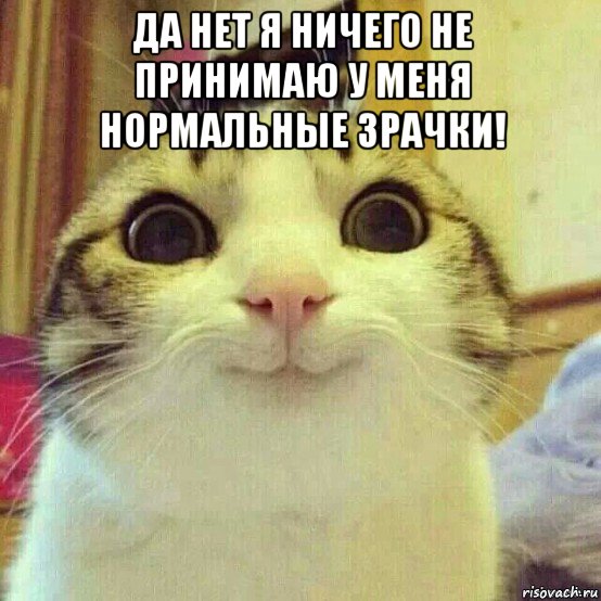 да нет я ничего не принимаю у меня нормальные зрачки! , Мем       Котяка-улыбака