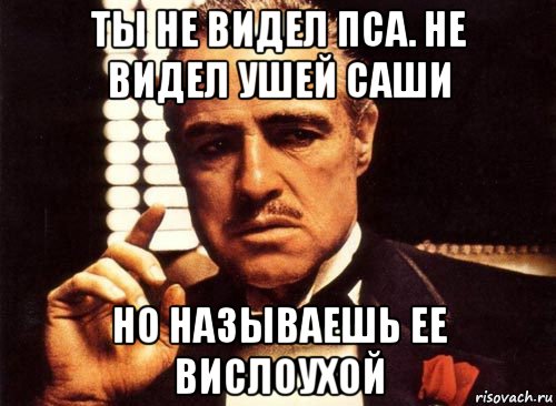 ты не видел пса. не видел ушей саши но называешь ее вислоухой, Мем крестный отец