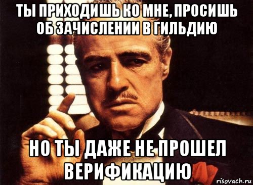 ты приходишь ко мне, просишь об зачислении в гильдию но ты даже не прошел верификацию, Мем крестный отец