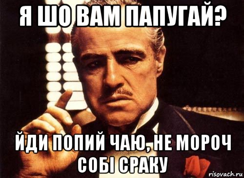 я шо вам папугай? йди попий чаю, не мороч собі сраку, Мем крестный отец