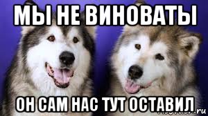 Они не виноваты