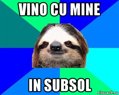 vino cu mine in subsol, Мем Ленивец