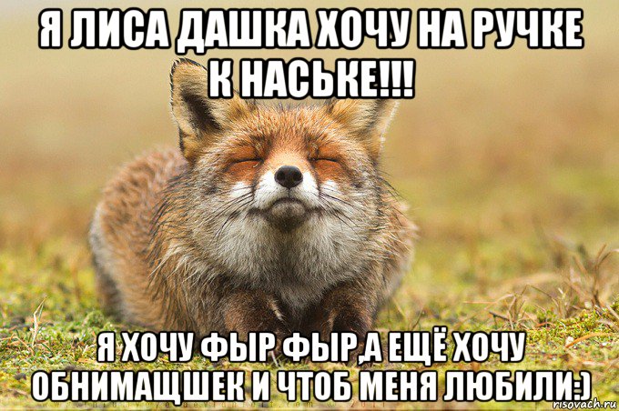 я лиса дашка хочу на ручке к наське!!! я хочу фыр фыр,а ещё хочу обнимащшек и чтоб меня любили:)