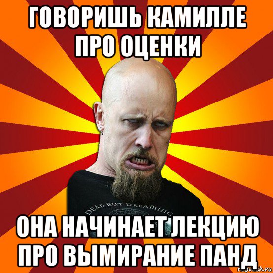 говоришь камилле про оценки она начинает лекцию про вымирание панд, Мем Мое лицо когда