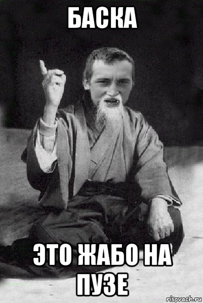 баска это жабо на пузе, Мем Мудрий паца