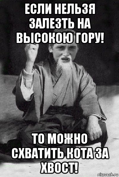 если нельзя залезть на высокою гору! то можно схватить кота за хвост!, Мем Мудрий паца