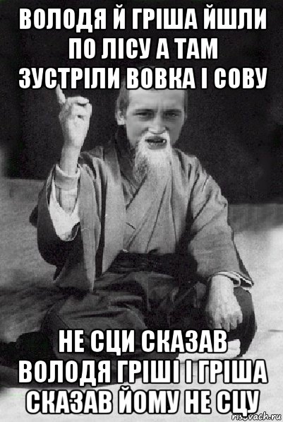 володя й гріша йшли по лісу а там зустріли вовка і сову не сци сказав володя гріші і гріша сказав йому не сцу, Мем Мудрий паца