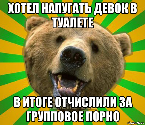 хотел напугать девок в туалете в итоге отчислили за групповое порно, Мем Нелепый медведь