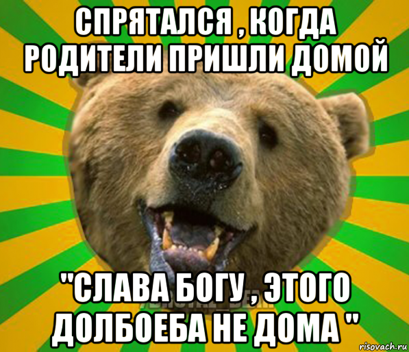 спрятался , когда родители пришли домой "слава богу , этого долбоеба не дома ", Мем Нелепый медведь