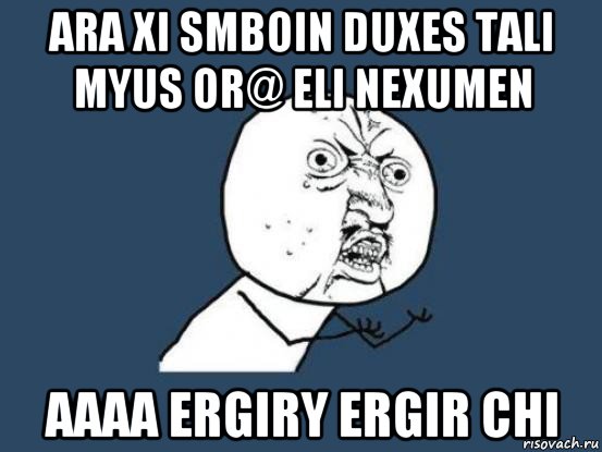 ara xi smboin duxes tali myus or@ eli nexumen aaaa ergiry ergir chi, Мем Ну почему