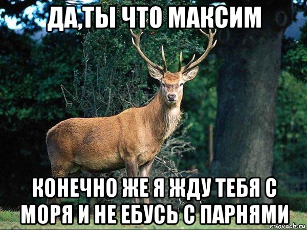 да,ты что максим конечно же я жду тебя с моря и не ебусь с парнями