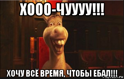 хооо-чуууу!!! хочу всё время, чтобы ебал!!!, Мем Осел из Шрека