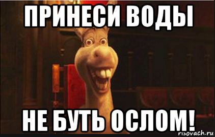 Несу воду