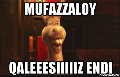 mufazzaloy qaleeesiiiiiz endi, Мем Осел из Шрека