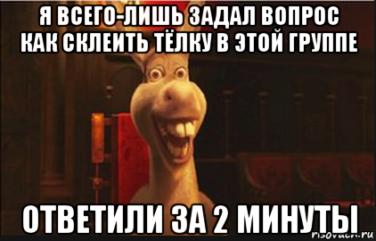 я всего-лишь задал вопрос как склеить тёлку в этой группе ответили за 2 минуты, Мем Осел из Шрека