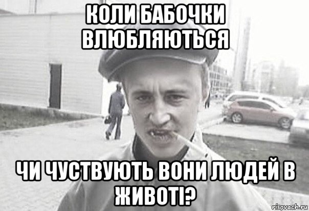 коли бабочки влюбляються чи чуствують вони людей в животі?, Мем Пацанська философия