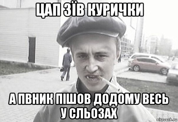 цап зїв курички а пвник пішов додому весь у сльозах, Мем Пацанська философия