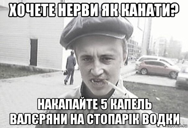 хочете нерви як канати? накапайте 5 капель валєряни на стопарік водки, Мем Пацанська философия