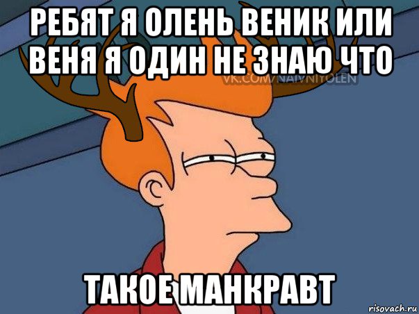 ребят я олень веник или веня я один не знаю что такое манкравт, Мем  Подозрительный олень