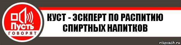 куст - эскперт по распитию спиртных напитков, Комикс   пусть говорят