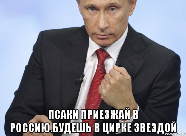  псаки приезжай в россию.будешь в цирке звездой, Мем Путин показывает кулак