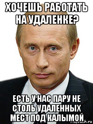 Хочет включаться. Удаленка мемы. Мемы про работу на удаленке. Работа на удалёнка мемы. Мемы про Путина удали.