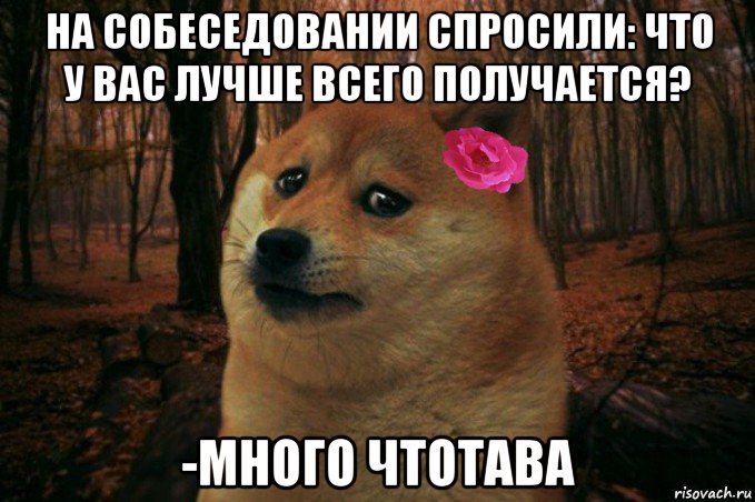 на собеседовании спросили: что у вас лучше всего получается? -много чтотава, Мем  SAD DOGE GIRL