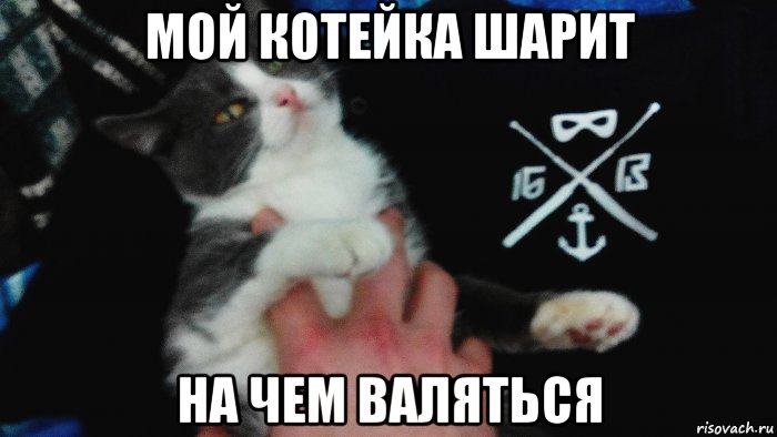 Девочки шарят за мемы