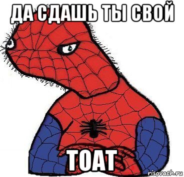 да сдашь ты свой тоат, Мем Спуди