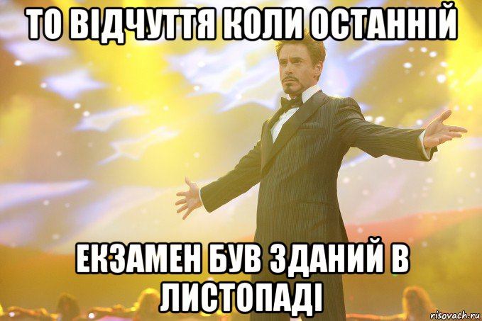 то відчуття коли останній екзамен був зданий в листопаді, Мем Тони Старк (Роберт Дауни младший)