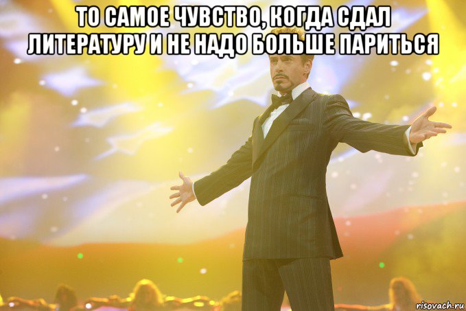 то самое чувство, когда сдал литературу и не надо больше париться , Мем Тони Старк (Роберт Дауни младший)