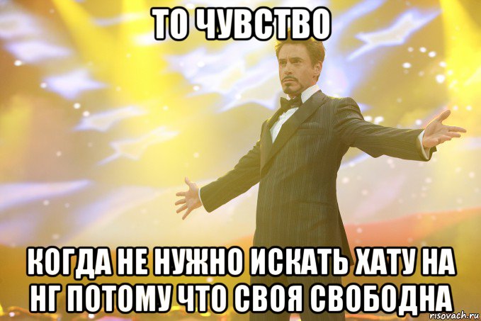 то чувство когда не нужно искать хату на нг потому что своя свободна, Мем Тони Старк (Роберт Дауни младший)