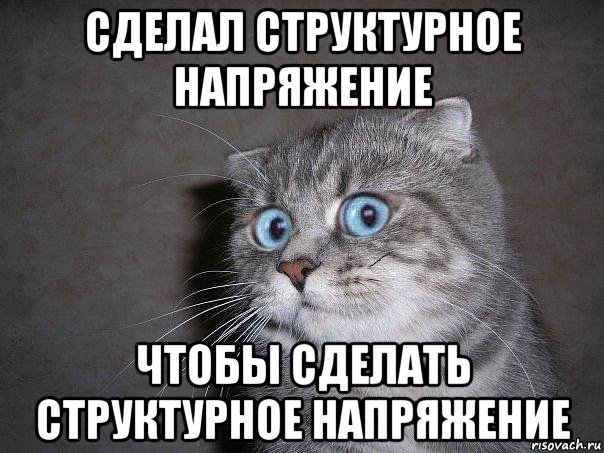 сделал структурное напряжение чтобы сделать структурное напряжение, Мем  удивлённый кот