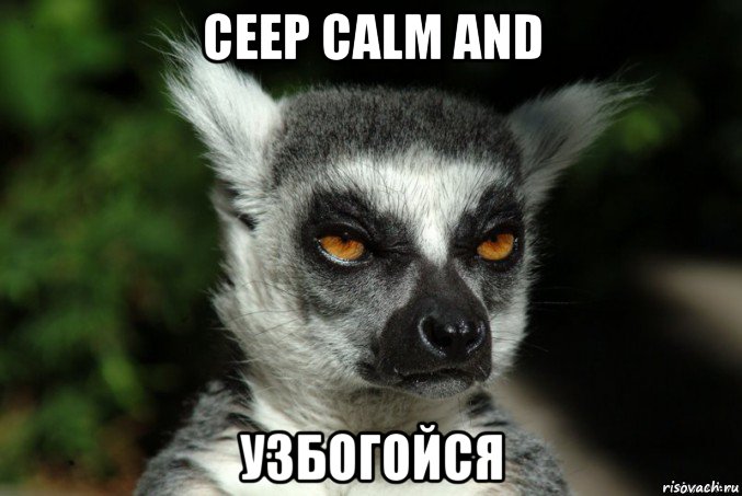 ceep calm and узбогойся, Мем   Я збагоен