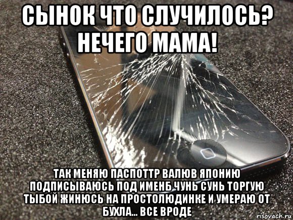 сынок что случилось? нечего мама! так меняю паспоттр валюв японию подписываюсь под именб чунь сунь торгую тыбой жинюсь на простолюдинке и умераю от бухла... все вроде, Мем узбагойся