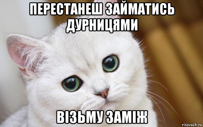 перестанеш займатись дурницями візьму заміж, Мем  В мире грустит один котик