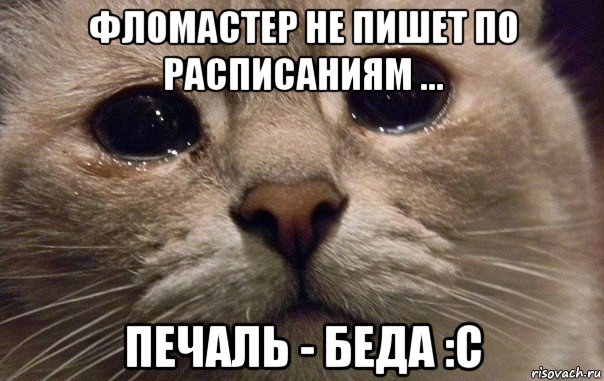 фломастер не пишет по расписаниям ... печаль - беда :с, Мем   В мире грустит один котик