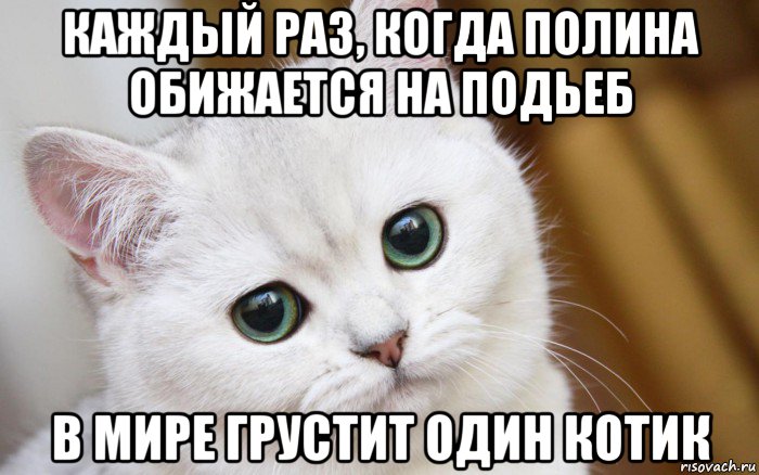 каждый раз, когда полина обижается на подьеб в мире грустит один котик, Мем  В мире грустит один котик