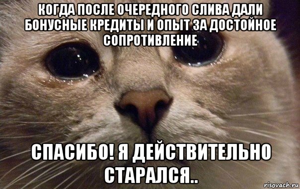 когда после очередного слива дали бонусные кредиты и опыт за достойное сопротивление спасибо! я действительно старался.., Мем   В мире грустит один котик