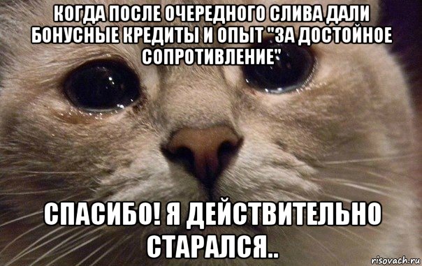 когда после очередного слива дали бонусные кредиты и опыт "за достойное сопротивление" спасибо! я действительно старался.., Мем   В мире грустит один котик