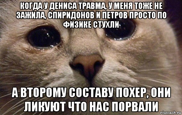 когда у дениса травма, у меня тоже не зажила, спиридонов и петров просто по физике стухли а второму составу похер, они ликуют что нас порвали, Мем   В мире грустит один котик