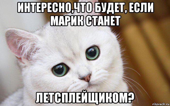 интересно,что будет, если марик станет летсплейщиком?, Мем  В мире грустит один котик