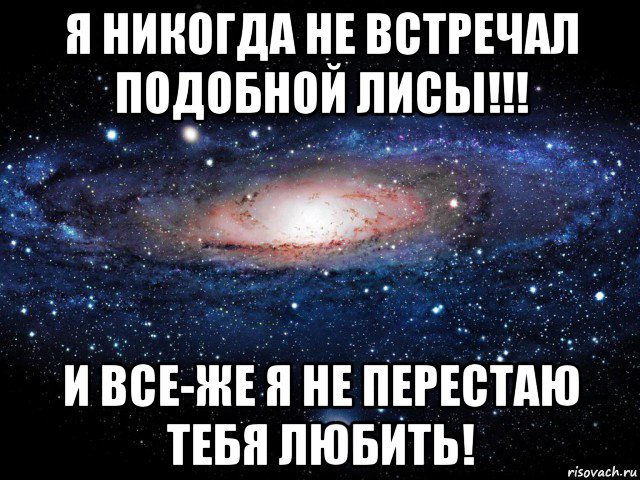 я никогда не встречал подобной лисы!!! и все-же я не перестаю тебя любить!, Мем Вселенная