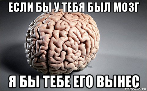 Песни про мозги. Я мозг.